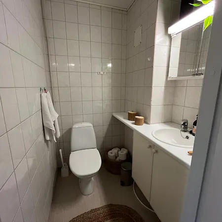 Annela, Kodikas Kaksio Euran Sydaemessae Appartement